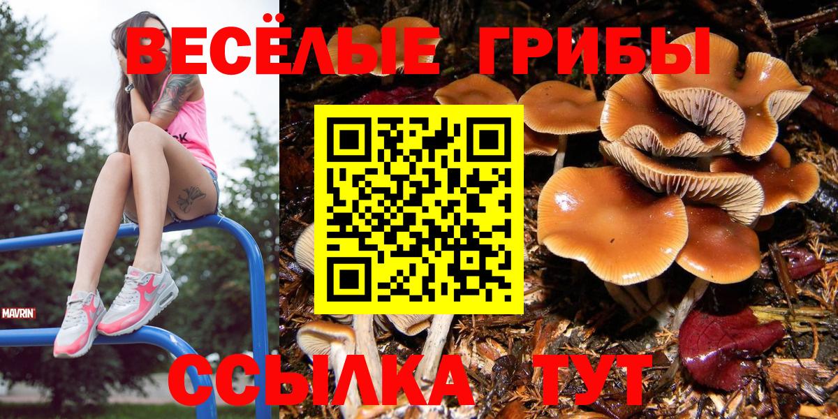 где найти наркотики  Вход с VPN  Псилоцибиновые грибы MAGIC MUSHROOMS  Лабытнанги  Галлюциногенные грибы Psilocybine cubensis 